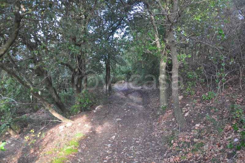 casa indipendente in vendita ad Albinea in zona Broletto