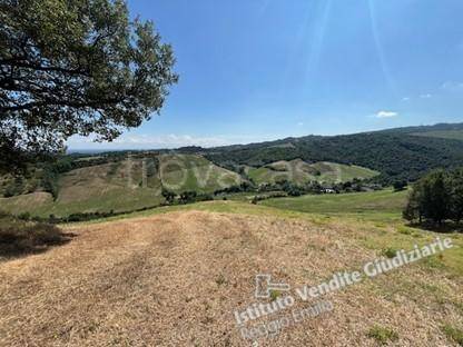 terreno agricolo in vendita ad Albinea