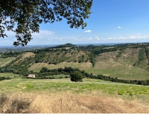 terreno agricolo in vendita ad Albinea