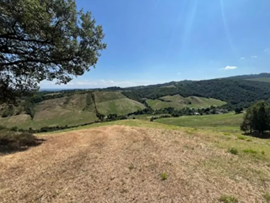 terreno agricolo in vendita ad Albinea