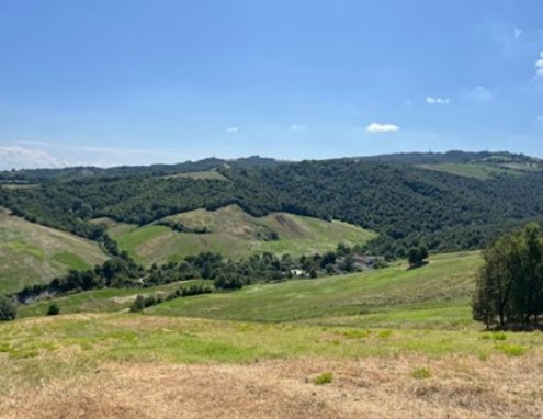 terreno agricolo in vendita ad Albinea