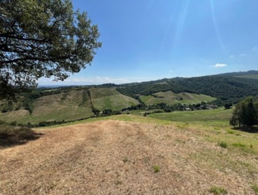 terreno agricolo in vendita ad Albinea