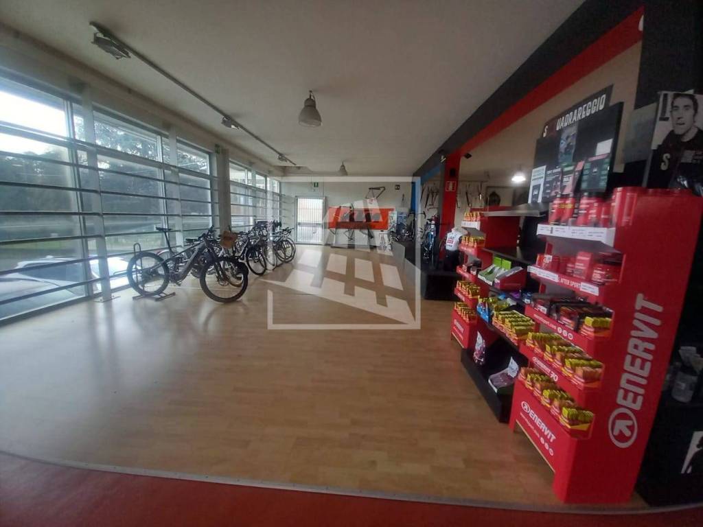 negozio in vendita ad Albinea