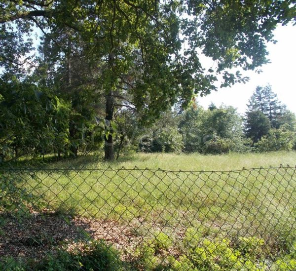 terreno agricolo in vendita ad Albinea