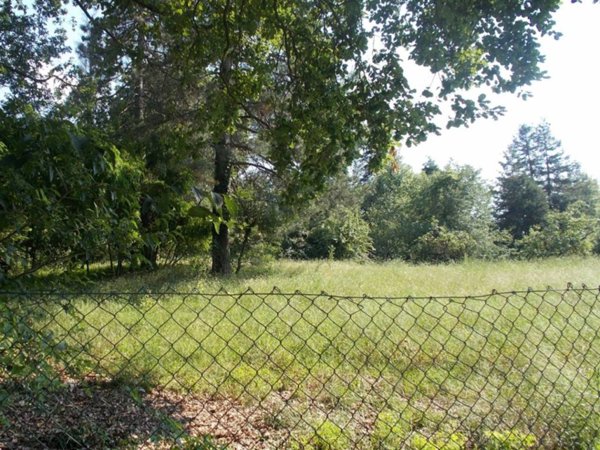 terreno agricolo in vendita ad Albinea