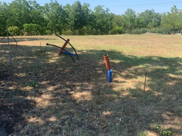 terreno agricolo in vendita ad Albinea