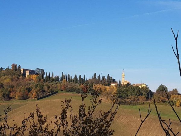 casa indipendente in vendita ad Albinea in zona Broletto