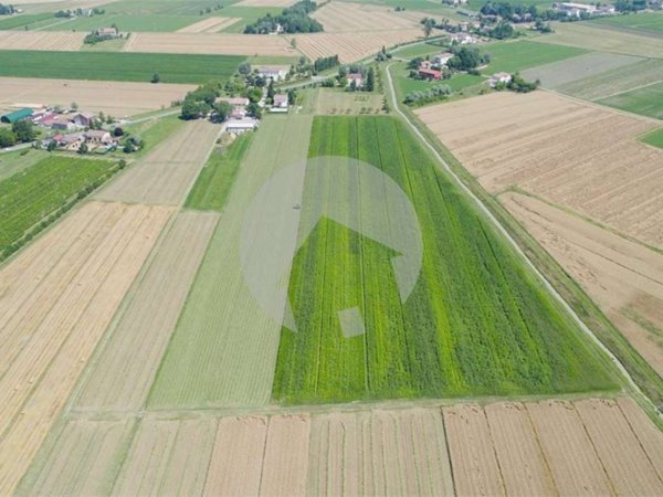 terreno agricolo in vendita a Bagnolo in Piano