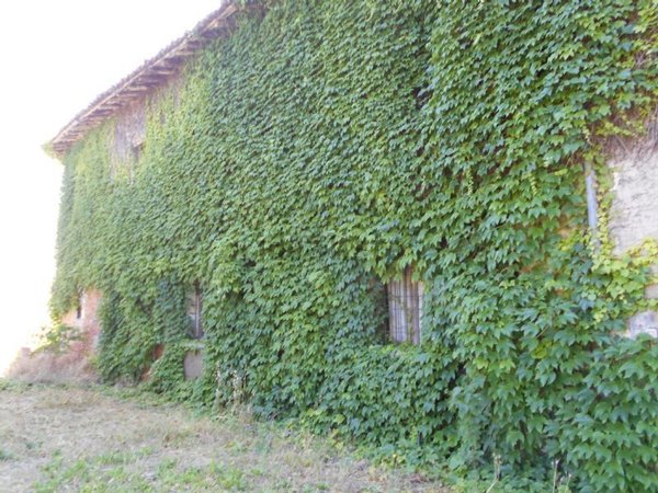 casa indipendente in vendita a Bagnolo in Piano