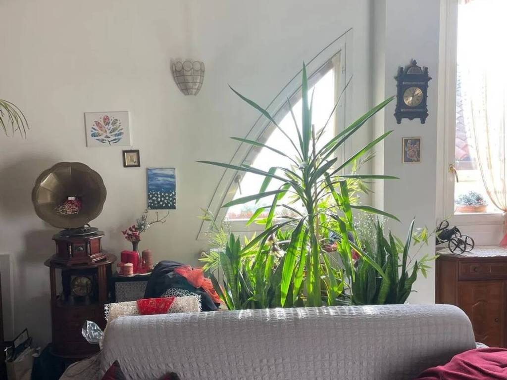 appartamento in vendita a Bagnolo in Piano