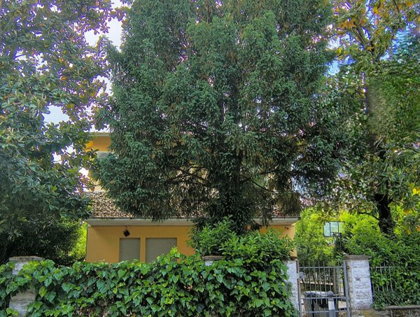 casa indipendente in vendita a Bagnolo in Piano