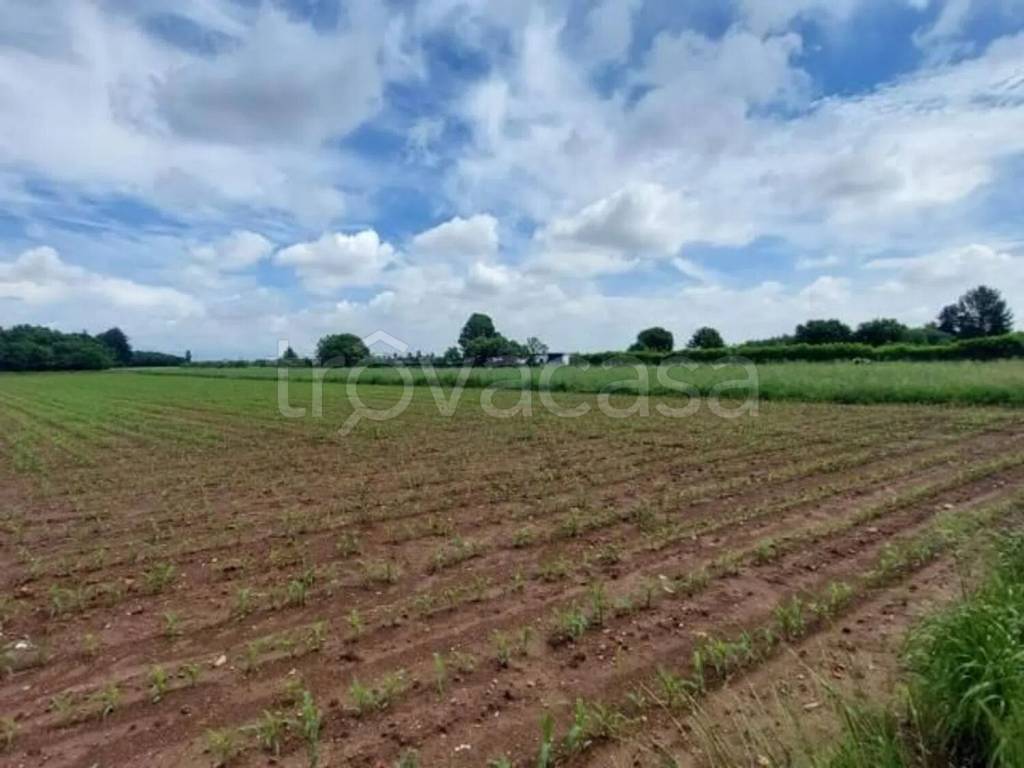 terreno agricolo in vendita a Bagnolo in Piano