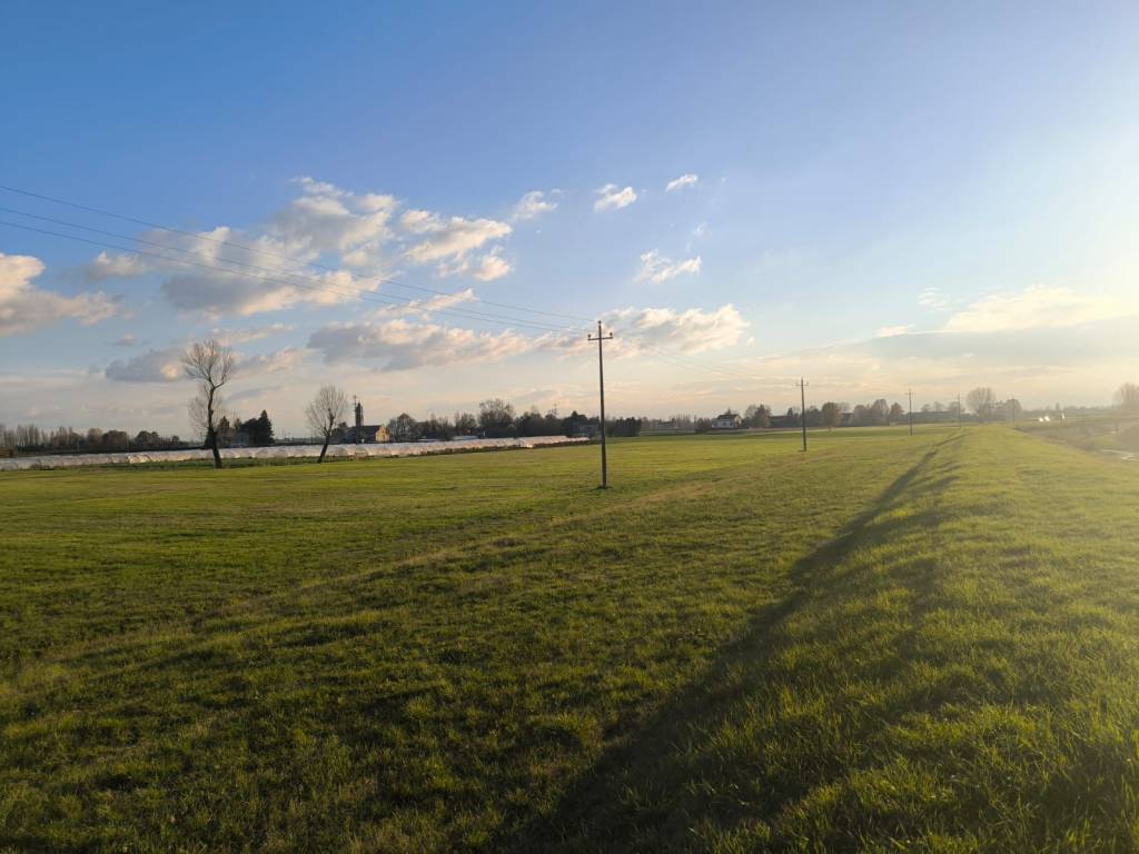 terreno agricolo in vendita a Bagnolo in Piano