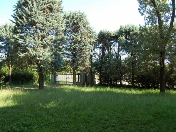 casa indipendente in vendita a Bagnolo in Piano