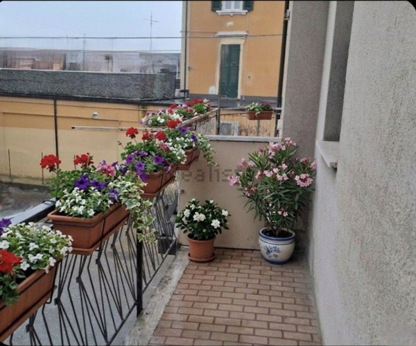 casa indipendente in vendita a Bagnolo in Piano