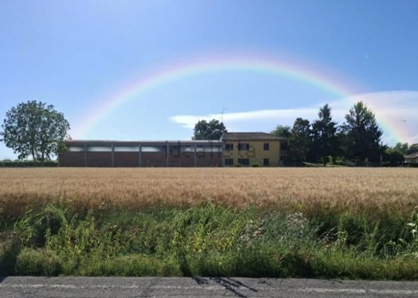 casa indipendente in vendita a Bagnolo in Piano in zona Pieve Rossa