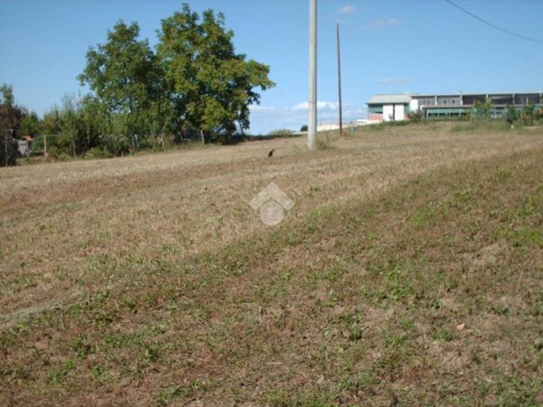 terreno agricolo in vendita a Baiso in zona Piola