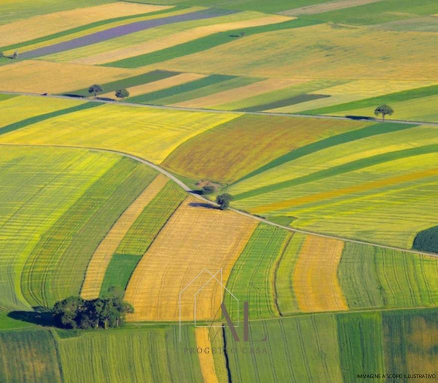 terreno agricolo in vendita a Baiso