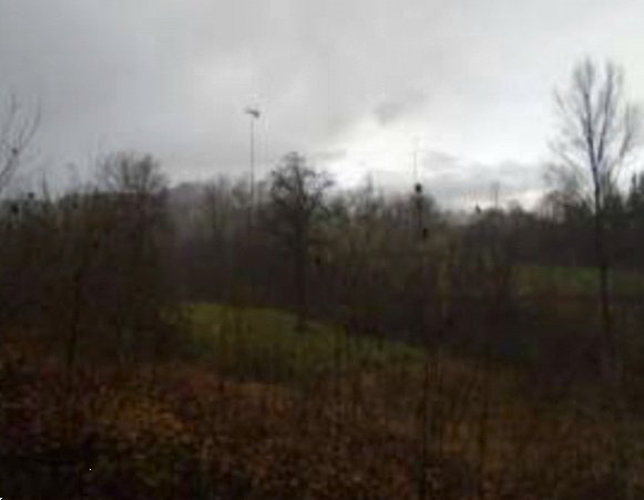 terreno agricolo in vendita a Baiso in zona Guilguella