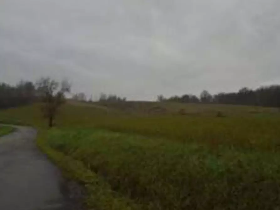 terreno agricolo in vendita a Baiso in zona Guilguella