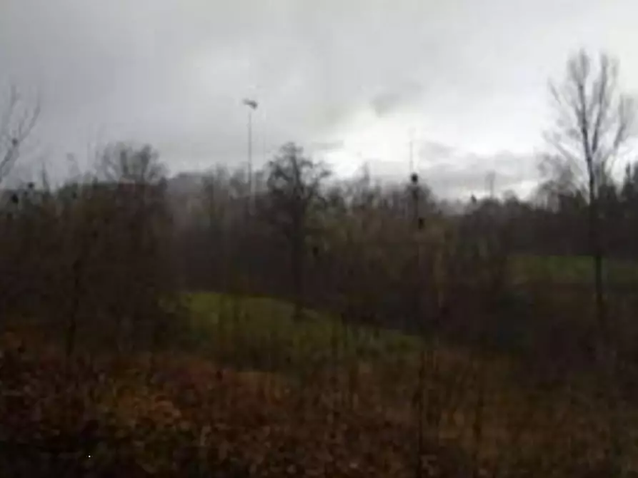 terreno agricolo in vendita a Baiso in zona Guilguella