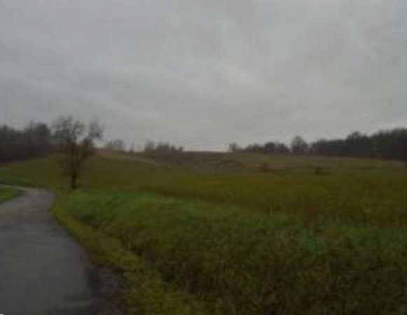 terreno agricolo in vendita a Baiso in zona Guilguella