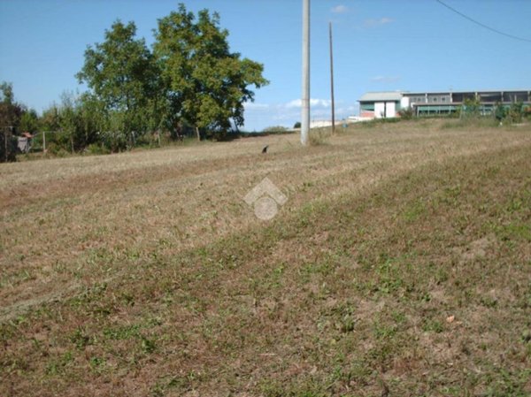 terreno edificabile in vendita a Baiso in zona Piola