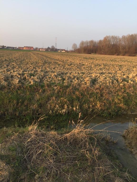 terreno agricolo in vendita a Boretto