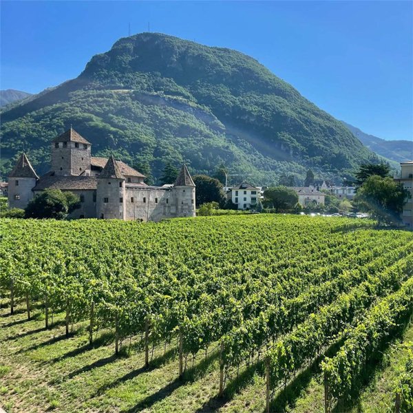 terreno edificabile in vendita a Boretto in zona Santa Croce