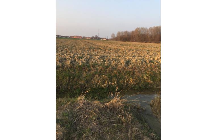 terreno agricolo in vendita a Boretto