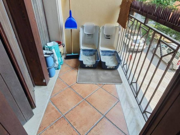 appartamento in vendita a Boretto
