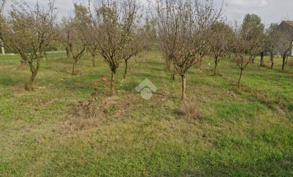 terreno agricolo in vendita a Brescello