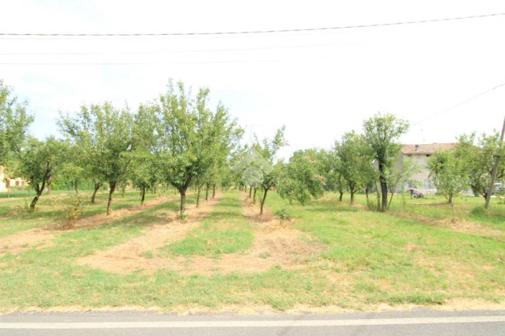 terreno agricolo in vendita a Brescello