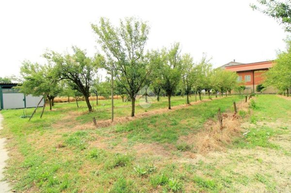 terreno agricolo in vendita a Brescello