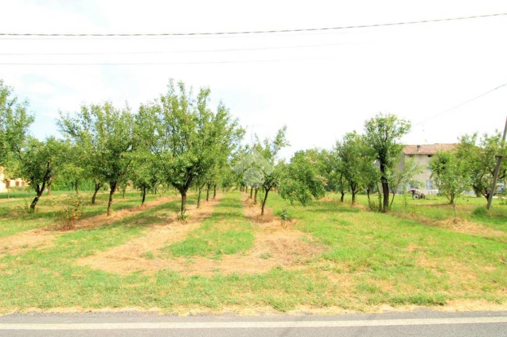 terreno edificabile in vendita a Brescello