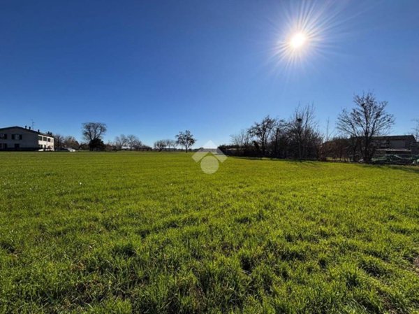 terreno agricolo in vendita a Brescello in zona Lentigione