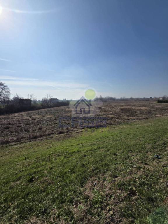terreno agricolo in vendita a Brescello