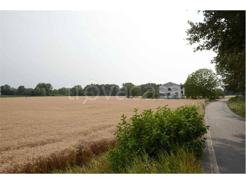 terreno agricolo in vendita a Brescello