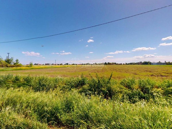 terreno agricolo in vendita a Cadelbosco di Sopra
