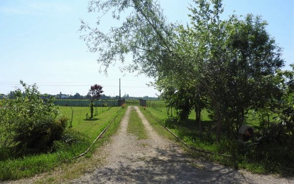 casa indipendente in vendita a Cadelbosco di Sopra