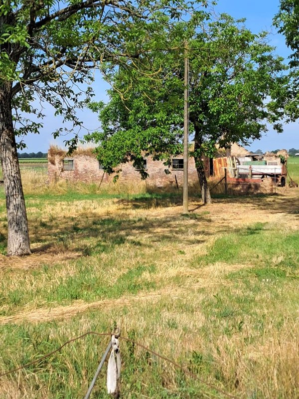 casa indipendente in vendita a Cadelbosco di Sopra