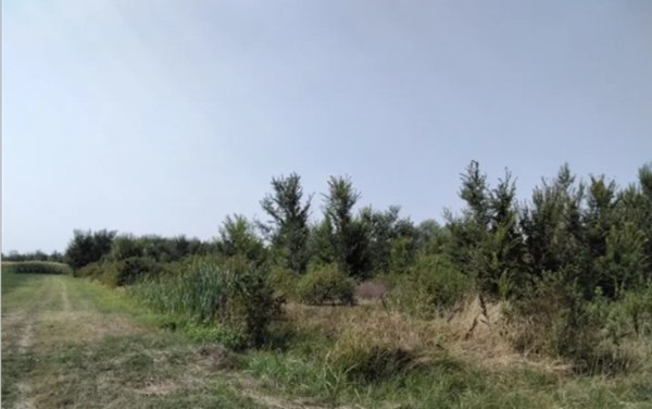terreno edificabile in vendita a Cadelbosco di Sopra in zona Cadelbosco di Sotto