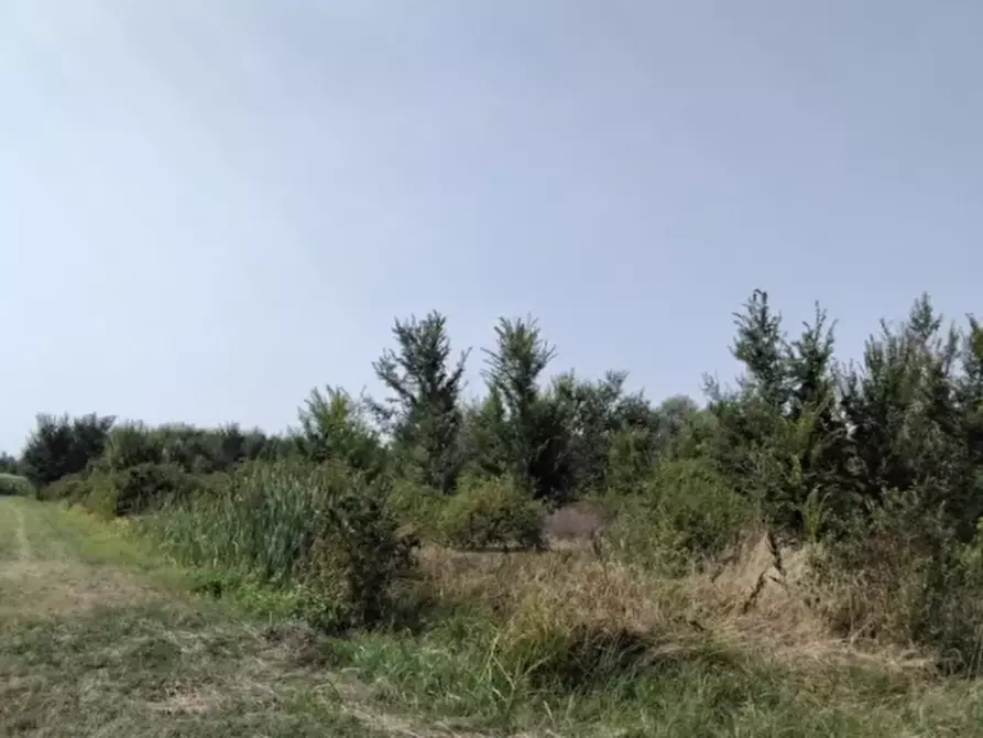 terreno edificabile in vendita a Cadelbosco di Sopra in zona Cadelbosco di Sotto