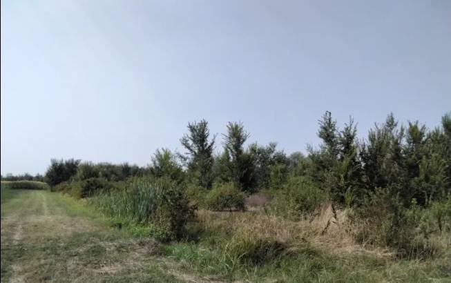 terreno edificabile in vendita a Cadelbosco di Sopra in zona Cadelbosco di Sotto
