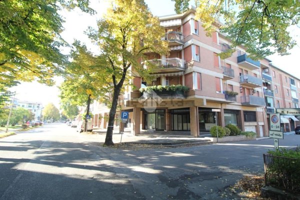 appartamento in vendita a Cadelbosco di Sopra