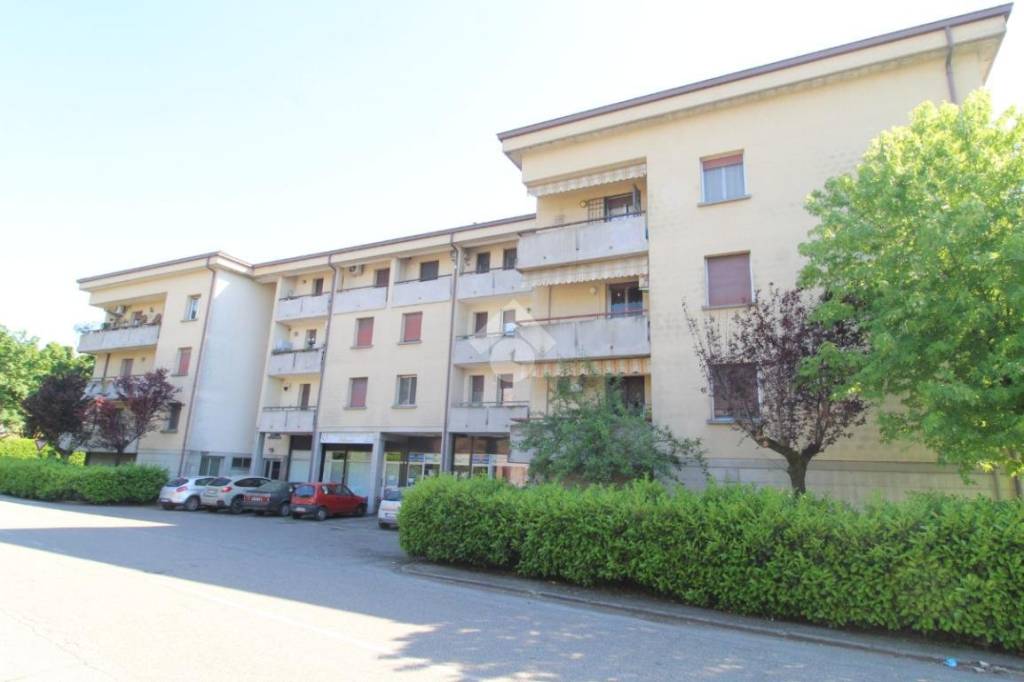 appartamento in vendita a Cadelbosco di Sopra