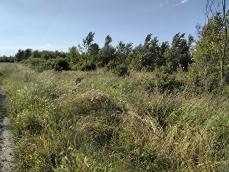 terreno edificabile in vendita a Cadelbosco di Sopra