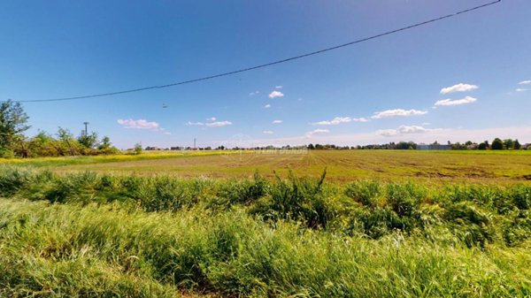 terreno agricolo in vendita a Cadelbosco di Sopra