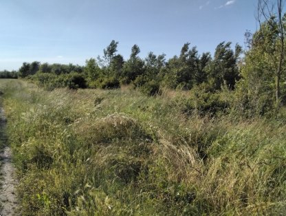 terreno edificabile in vendita a Cadelbosco di Sopra