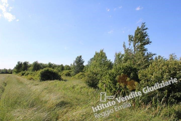 terreno agricolo in vendita a Cadelbosco di Sopra
